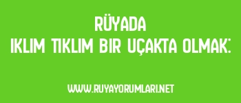 Rüyada Iklım Tıklım Bir Uçakta Olmak: