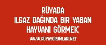 Rüyada Ilgaz Dağında Bir Yaban Hayvanı Görmek: