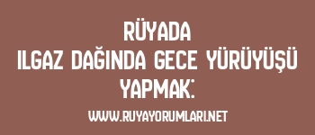 Rüyada Ilgaz Dağında Gece Yürüyüşü Yapmak: