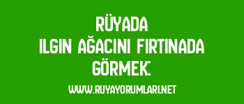 Rüyada Ilgın Ağacını Fırtınada Görmek: