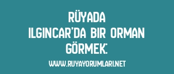 Rüyada Ilgıncar’da Bir Orman Görmek:
