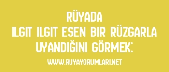 Rüyada Ilgıt Ilgıt Esen Bir Rüzgarla Uyandığını Görmek: