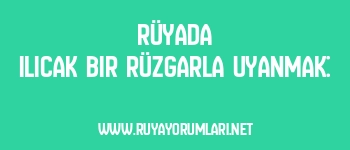 Rüyada Ilıcak Bir Rüzgarla Uyanmak: