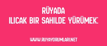 Rüyada Ilıcak Bir Sahilde Yürümek: