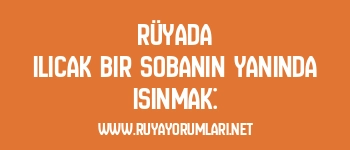 Rüyada Ilıcak Bir Sobanın Yanında Isınmak: