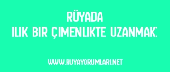 Rüyada Ilık Bir Çimenlikte Uzanmak: