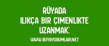 Rüyada Ilıkça Bir Çimenlikte Uzanmak:
