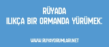 Rüyada Ilıkça Bir Ormanda Yürümek: