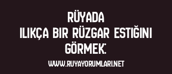 Rüyada Ilıkça Bir Rüzgar Estiğini Görmek: