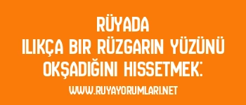 Rüyada Ilıkça Bir Rüzgarın Yüzünü Okşadığını Hissetmek:
