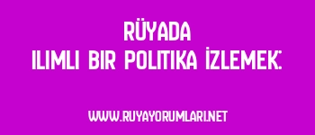 Rüyada Ilımlı Bir Politika İzlemek: