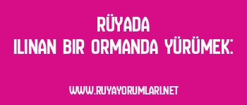 Rüyada Ilınan Bir Ormanda Yürümek: