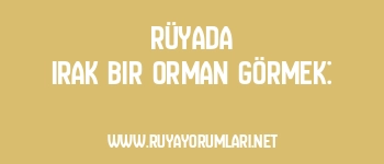 Rüyada Irak Bir Orman Görmek:
