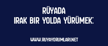 Rüyada Irak Bir Yolda Yürümek: