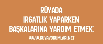 Rüyada Irgatlık Yaparken Başkalarına Yardım Etmek: