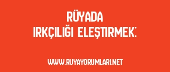 Rüyada Irkçılığı Eleştirmek: