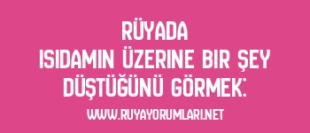 Rüyada Isıdamın Üzerine Bir Şey Düştüğünü Görmek: