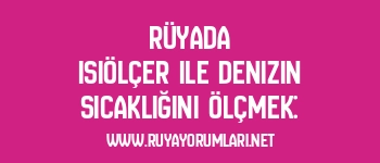 Rüyada Isıölçer ile Denizin Sıcaklığını Ölçmek: