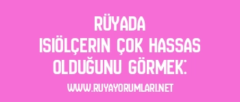 Rüyada Isıölçerin Çok Hassas Olduğunu Görmek: