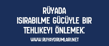 Rüyada Isırabilme Gücüyle Bir Tehlikeyi Önlemek: