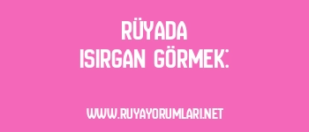 Rüyada Isırgan Görmek: