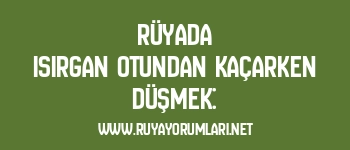 Rüyada Isırgan Otundan Kaçarken Düşmek:
