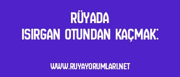 Rüyada Isırgan Otundan Kaçmak: