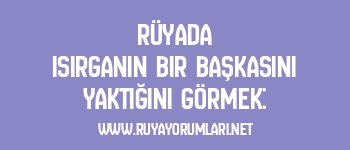 Rüyada Isırganın Bir Başkasını Yaktığını Görmek: