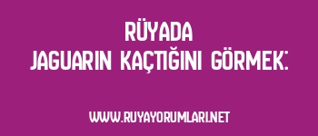 Rüyada Jaguarın Kaçtığını Görmek: