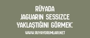 Rüyada Jaguarın Sessizce Yaklaştığını Görmek: