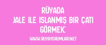Rüyada Jale ile Islanmış Bir Çatı Görmek:
