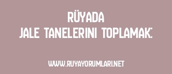 Rüyada Jale Tanelerini Toplamak: