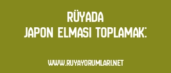 Rüyada Japon Elması Toplamak: