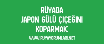 Rüyada Japon Gülü Çiçeğini Koparmak: