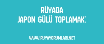 Rüyada Japon Gülü Toplamak: