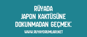 Rüyada Japon Kaktüsüne Dokunmadan Geçmek: