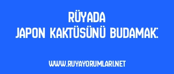 Rüyada Japon Kaktüsünü Budamak: