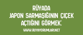 Rüyada Japon Sarmaşığının Çiçek Açtığını Görmek: