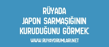 Rüyada Japon Sarmaşığının Kuruduğunu Görmek: