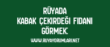 Rüyada Kabak Çekirdeği Fidanı Görmek: