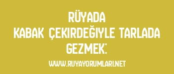 Rüyada Kabak Çekirdeğiyle Tarlada Gezmek: