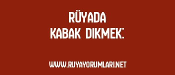 Rüyada Kabak Dikmek: