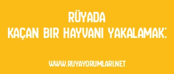 Rüyada Kaçan Bir Hayvanı Yakalamak: