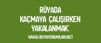 Rüyada Kaçmaya Çalışırken Yakalanmak: