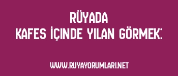 Rüyada Kafes İçinde Yılan Görmek: