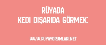 Rüyada Kedi Dışarıda Görmek: