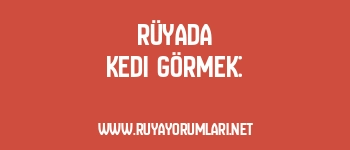 Rüyada Kedi Görmek: