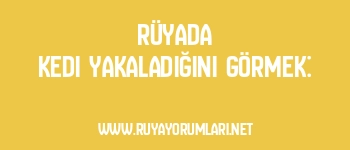 Rüyada Kedi Yakaladığını Görmek: