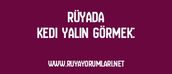 Rüyada Kedi Yalın Görmek: