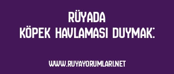 Rüyada Köpek Havlaması Duymak: